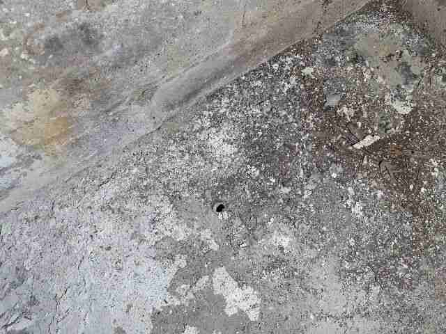 Testing again(13).jpg